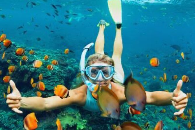 Zip-lining/Horseback Rides/Cat & Atv Inclusive Act with Transpo From Montego Bay - Ziplining adds height and speed