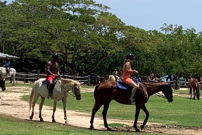 Zipline, Horseback Ride, ATV and Catamaran from Montego Bay - Leaving Montego Bay in a private vehicle